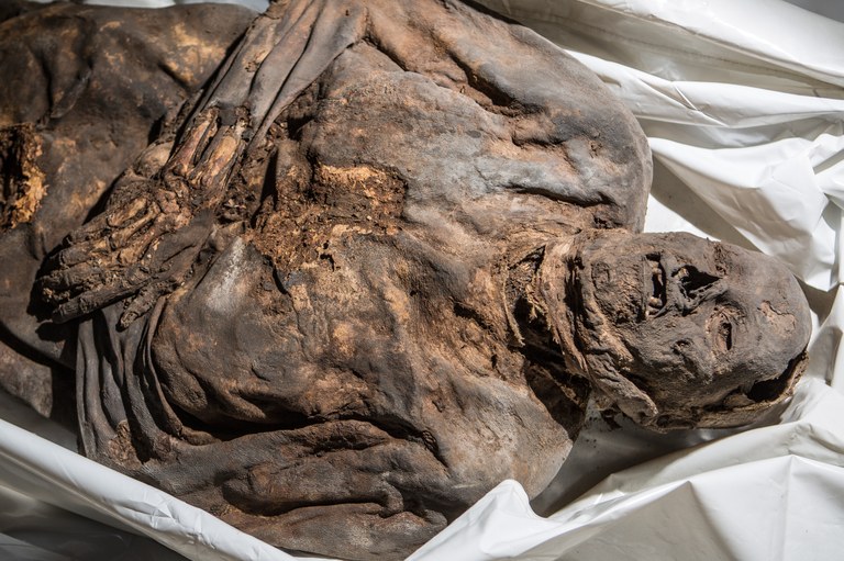 One of the mummies found within the crypt, not examined in this study.